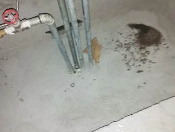 高平卫生间测漏水价格明细